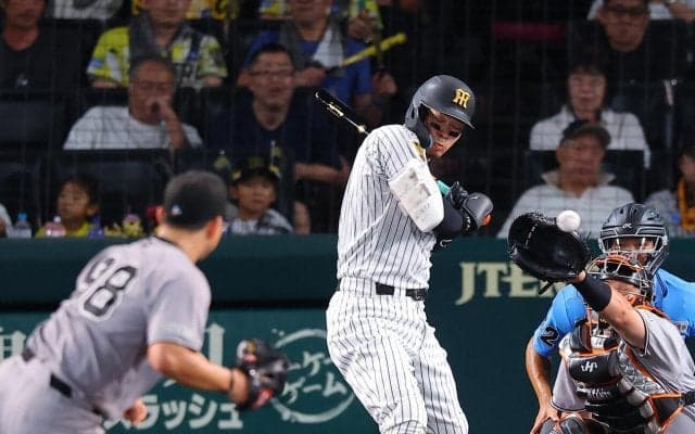 【阪神】今度はサトテル…また主力が死球受け甲子園は騒然　藤川監督はベンチ動かずも表情険しく