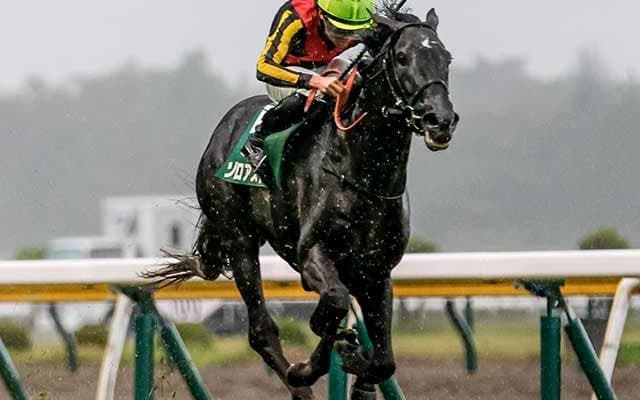 【新潟記念結果】ゾロアストロが雨中の激戦を制し重賞2勝目！
