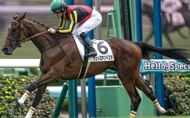 【中山5R新馬戦結果】コントレイル産駒ヴェトロテンペスタが3馬身差で快勝