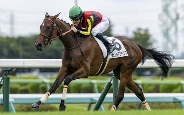【新馬/中山5R】ルメールがJRA年間100勝！コントレイル産駒ヴェトロテンペスタが3馬身差V