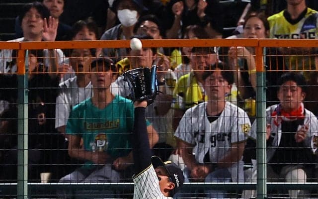 【阪神】森下翔太がフェンス際でジャンピングキャッチ　得意プレーで右翼席沸かせる