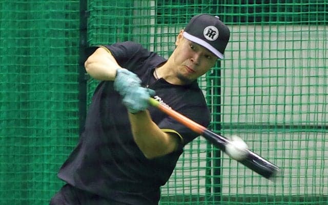 【阪神】金字塔なるか…佐藤輝明と森下翔太が史上初の日本人40発コンビへ　達成ならＶも近づく
