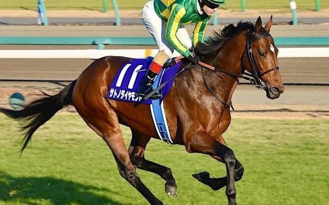 伯父は名馬サトノダイヤモンド ヴァルカモニカがC.ルメール騎手で新馬勝ち狙う