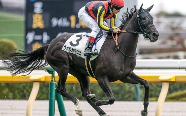 【東京5R新馬戦結果】エピファネイア産駒ヴァルカモニカが断然人気に応え7馬身差V