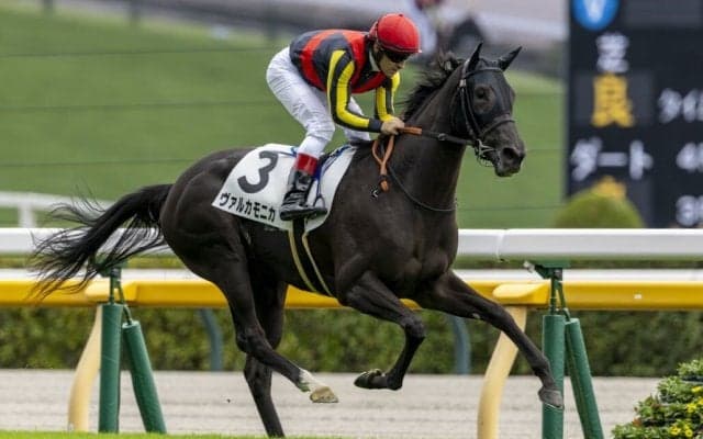 【新馬/東京5R】エピファネイア産駒ヴァルカモニカが7馬身差圧勝…単勝1.5倍の支持に応える