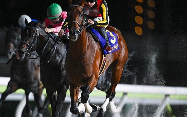 【大井・ジャパンダートクラシック結果】シルバーレシオが差し切ってJpnI初制覇