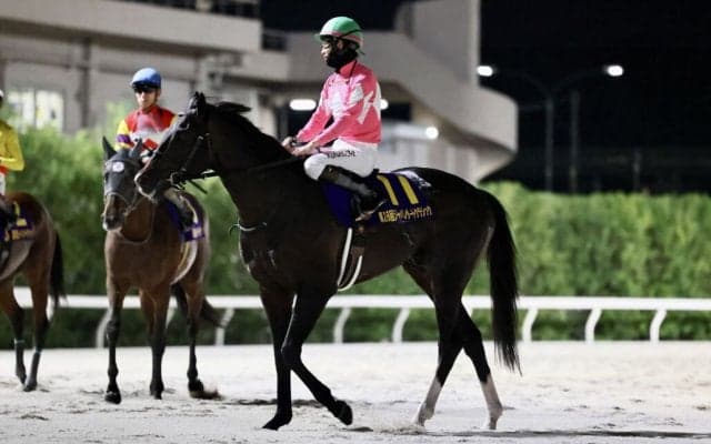 【ジャパンダートクラシック】UAEダービー馬の意地…ワンダーディーン2着、松山弘平「このメンバー相手に力を発揮」