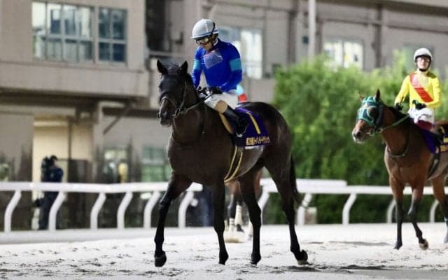 【ジャパンダートクラシック】ルメール「2000mは少し長いかも」…パイロマンサーは5着まで