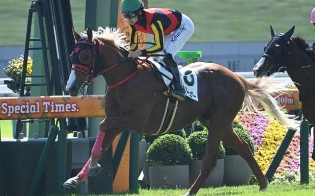 【京都5R新馬戦結果】サートゥルナーリア産駒ゴルトクリーガーが断然人気に応えてV