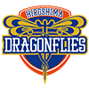 広島ドラゴンフライズ