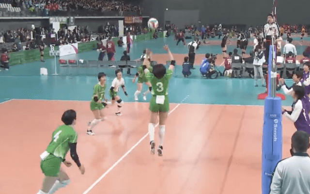 第1日女子1回戦　松山東雲（愛媛）× 八王子実践（東京）