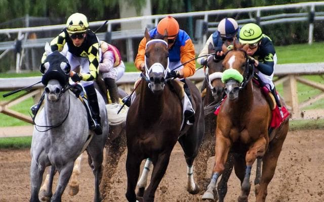 女性騎手G1初騎乗の藤田菜七子、フェブラリーSは５着健闘