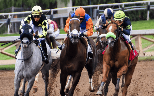 菜七子とコンビ継続！コパノキッキング、次走は「東京スプリント」に決定
