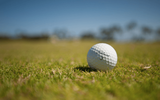 米女子ゴルフ　畑岡奈紗が６位発進、首位と１打差