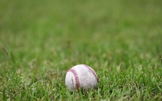 戦国千葉の頂点を掴むのは　高校野球千葉大会