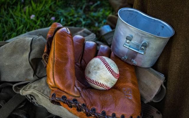 強豪校の勢い止めるのはどこだ　高校野球栃木大会