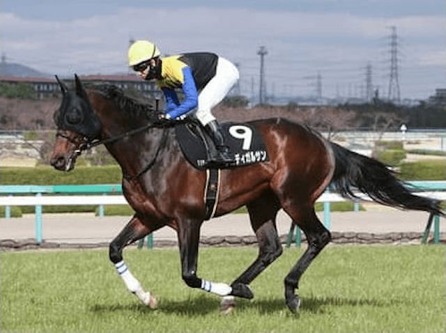 穴党記者が京成杯AHを徹底分析。開幕週でも狙いは末脚自慢の４頭だ