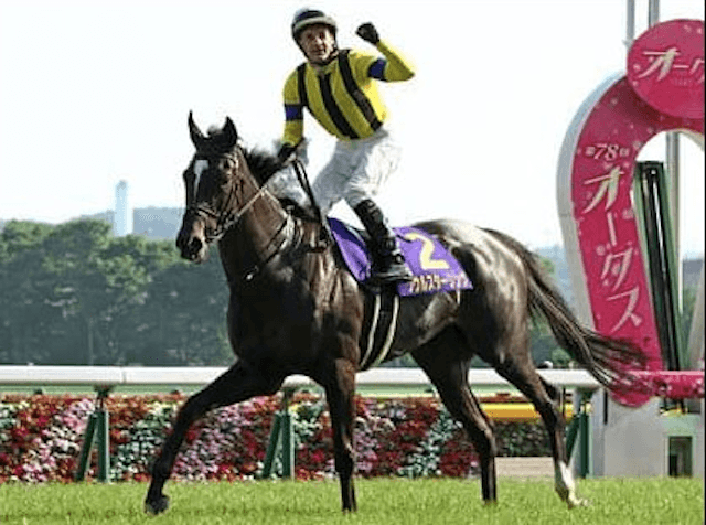 藤沢厩舎でも評判のスパングルドスター。姉たち以上の活躍を見せるか