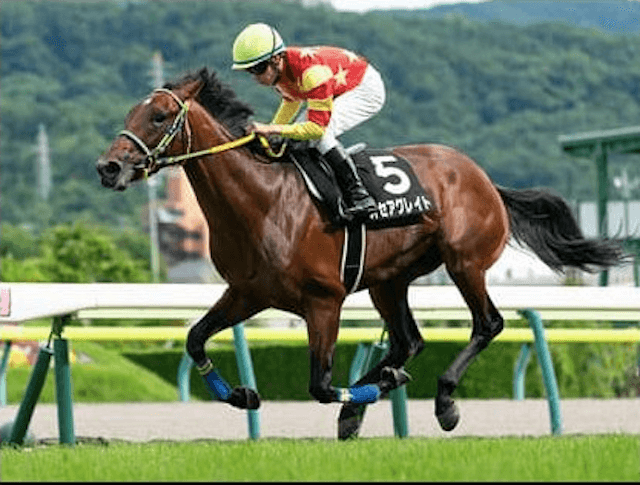 春の実績馬が不在のセントライト記念。狙いは人気薄の夏の上がり馬