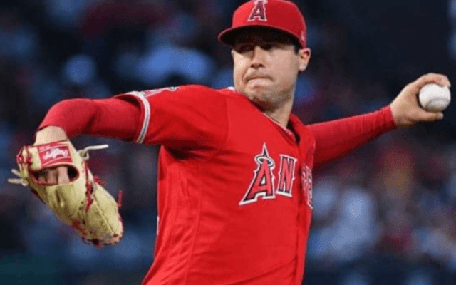 【MLB】急逝スカッグスにエ軍職員が医療用麻薬を提供＆乱用　米メディア報じる