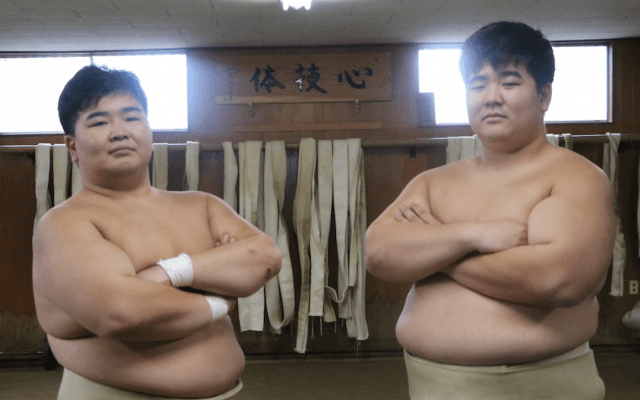 【THE STARS】“最大の理解者”兄弟で突き進む相撲道  慶應義塾大学 長谷川大起・貴規