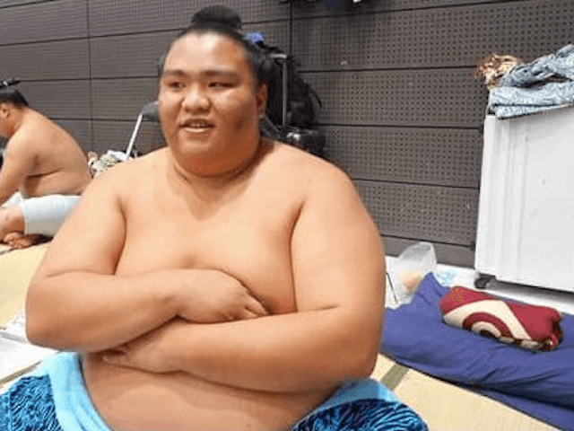 公務員試験合格→和歌山県庁内定。それでも御嶽海が角界を選んだわけ