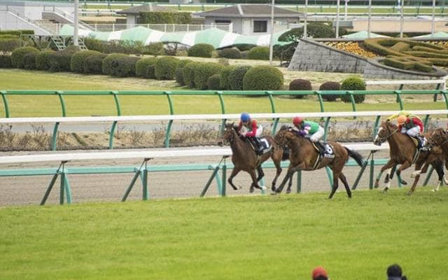有馬記念、リスグラシューが有終Ｖ　アーモンドアイ敗れる