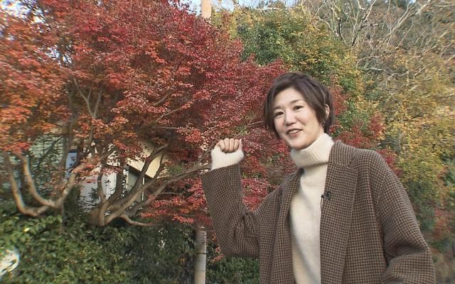 in 東山高校 / メグが巡る2020春高 pickup high school!