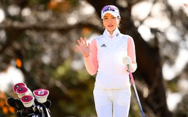 崖っぷちだったセクシークイーン。アン・シネがひたむきプレーで得た居場所