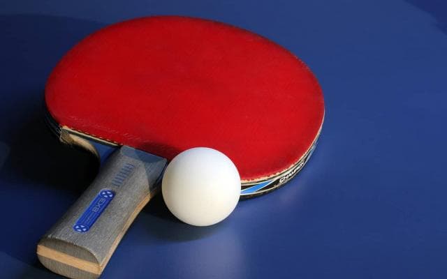 １８歳・宇田幸矢　五輪代表の張本破り初の日本一
