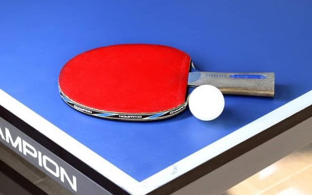 早田ひな　全日本、涙の初優勝！ダブルスとの２冠達成！