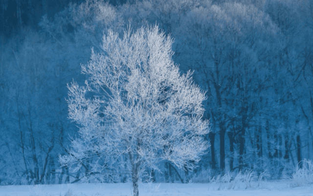 冬季インターハイがやって来る！舞台は北海道 23日から