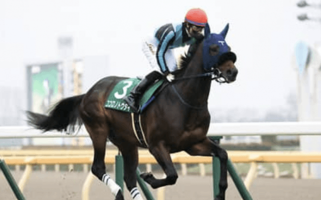 スプリングＳは伏兵４頭にご用心。３歳重賞は１番人気が未勝利で波乱再び