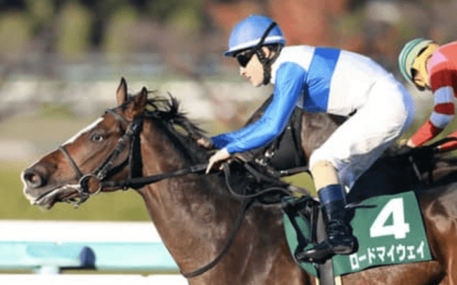 大阪杯の狙い目はＧⅠ未勝利馬。コース適性は抜群＆血統的にもイケる