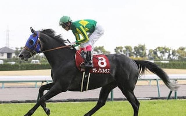 大阪杯は穴党記者が直前の状態に惚れ込んだ４頭が好配当を運んでくる