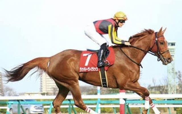 ＧＩ昇格後は好配当が続く大阪杯。狙える穴馬のパターンは２つある