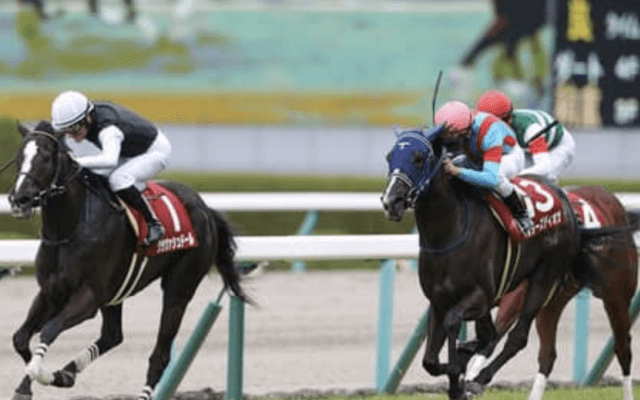 桜花賞、オークスで勝つ馬がわかる。安藤勝己選定の「３歳牝馬番付」