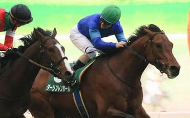 クラシックで生きる持ち味。タフな追い比べに強いダーリントンホール