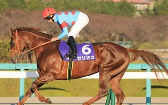 アンカツが確信。皐月賞、ダービーの結末を示唆する「３歳牡馬番付」