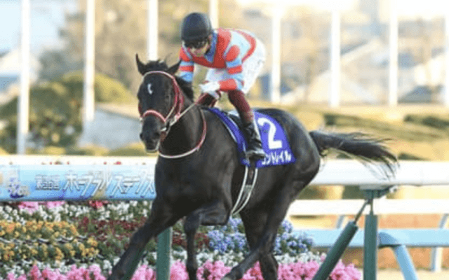 皐月賞は「３強」とは限らない。レースに縁がある１頭に激走の予感