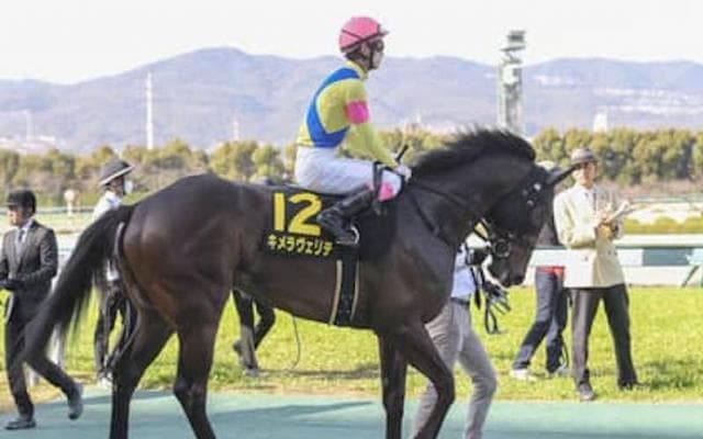 皐月賞は過小評価の実力馬４頭に注目。馬場次第でオイシすぎる結末も