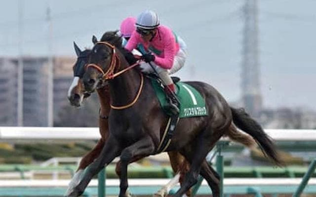 皐月賞はコントレイルが最有力候補も、キズナの初年度産駒に刮目せよ