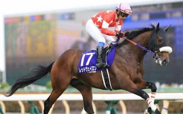 マイラーズＣで狙える３頭。過去の結果から好配当のニオイがプンプン