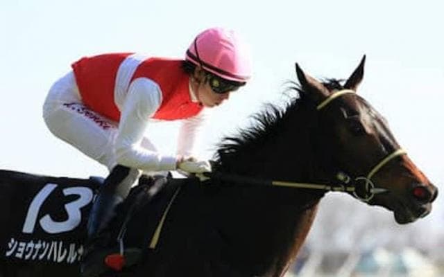 狙うは100万馬券。フローラＳは穴党記者厳選の４頭でＧＩ軍資金奪取へ