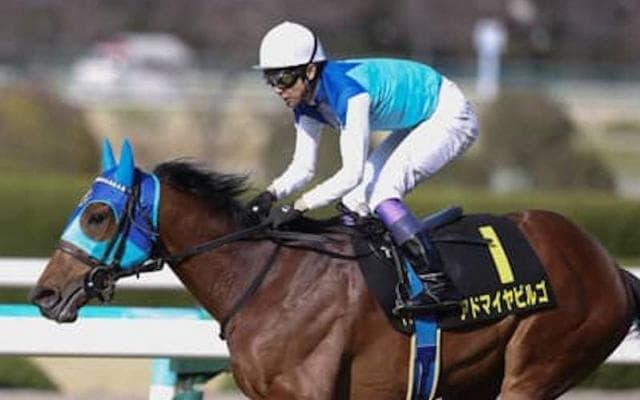 「６億円馬」アドマイヤビルゴがダービーの前哨戦で見せる真骨頂