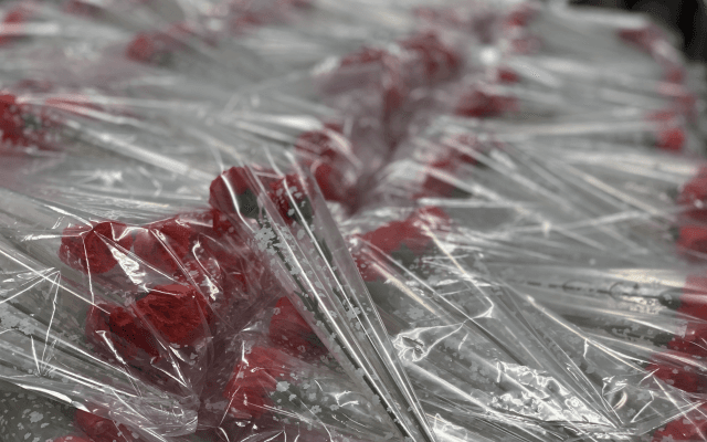 東京六大学野球部員たちが母の日プレゼント