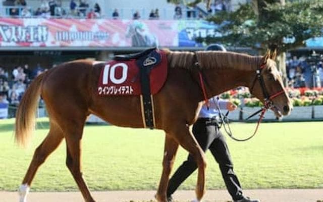 NHKマイルＣは荒れる。穴党記者が馬場状況を吟味して厳選した４頭