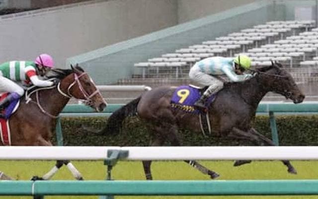 桜花賞前とはガラッと一変。オークスを読み解く「３歳牝馬ランキング」