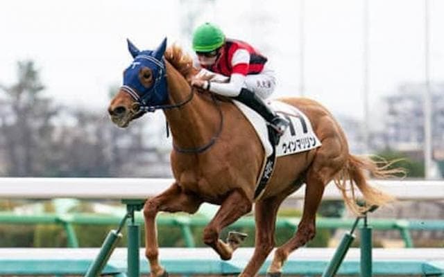 オークスの本命はデアリングタクト。伏兵は「別路線組」に隠れている