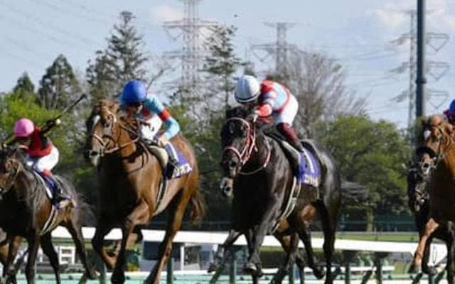 注目の頂上決戦。ダービーの勝敗を見極める「３歳牡馬ランキング」